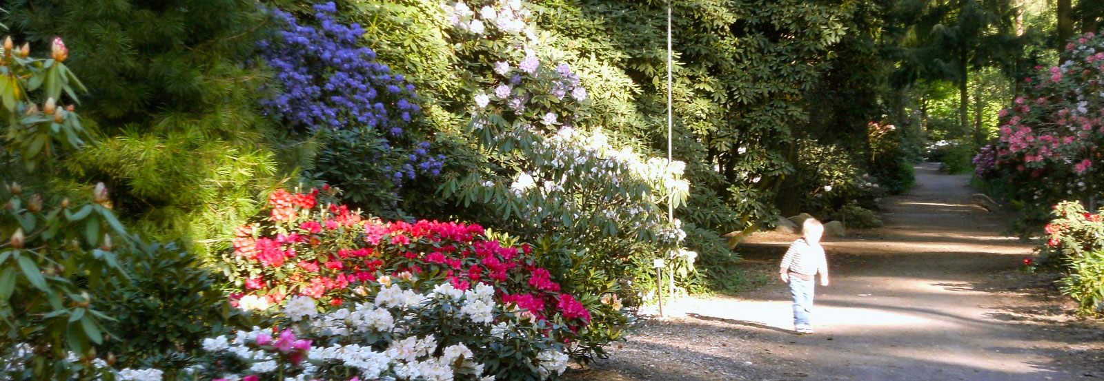 Landhaus Julia - Umgebung: Rhododenron-Park