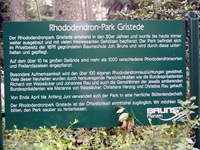 Rhododendron Park - Gristede - Beschreibung
